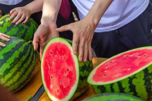 全国各大高校吃瓜黑料,揭秘全国各大高校那些鲜为人知的吃瓜黑料